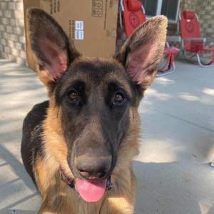 Meet your Posher, Danielle